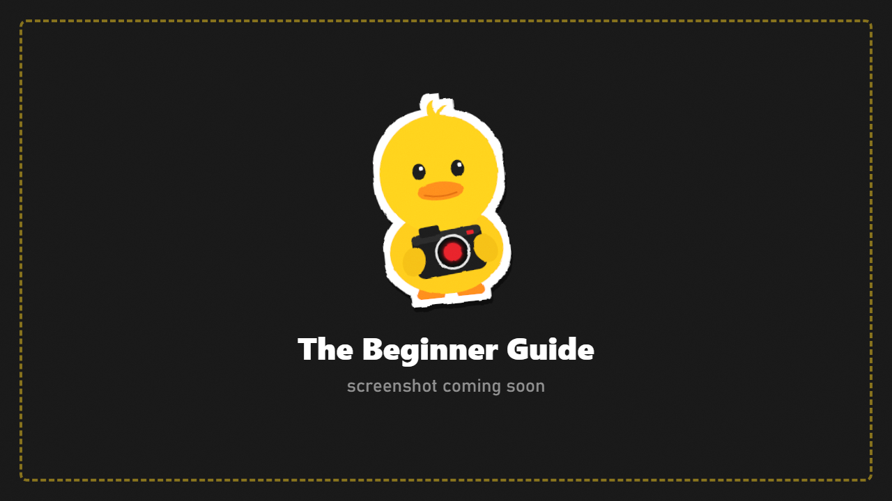 The Beginner Guide
